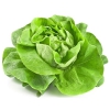 Hạt Giống Xà Lách Búp Đăm - 2 Gram