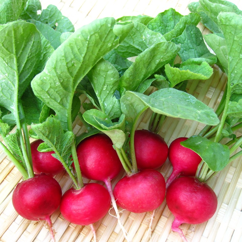 Hạt Giống Củ Cải Cherry Đỏ - 2 Gram