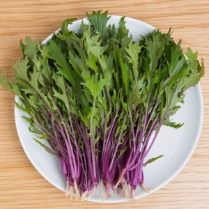 Hạt Giống Cải Mizuna Tím - 0.5 Gram