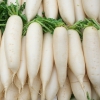 Hạt Giống Củ Cải Trắng - 20 Gram